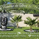 Des Fleurs - Les Escapades Cosy - 1 A 4 Personnes Cabourg
