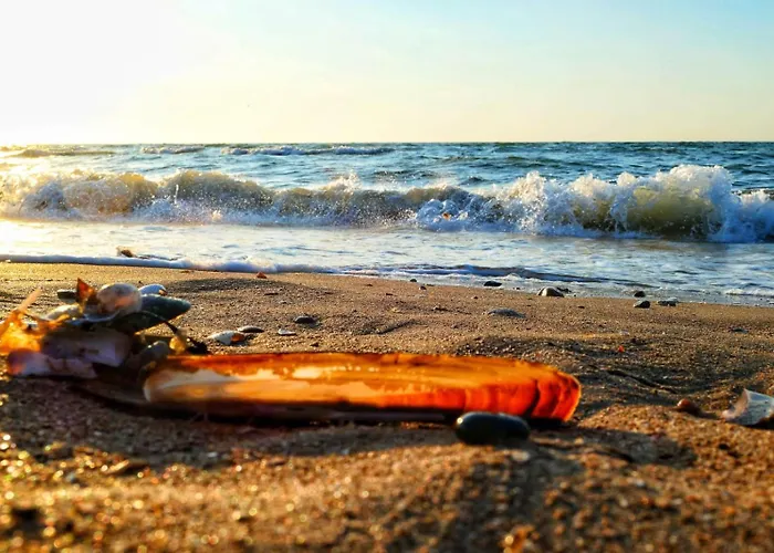 Des Fleurs Apartamento