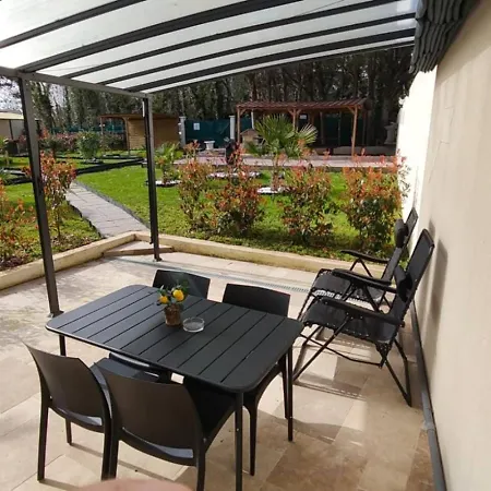 Des Fleurs - Les Escapades Cosy - 1 A 4 Personnes * Cabourg