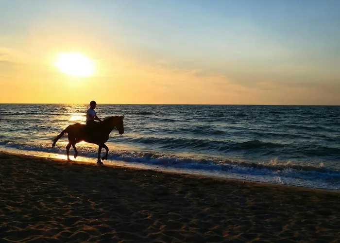 Des Fleurs Appartement Cabourg